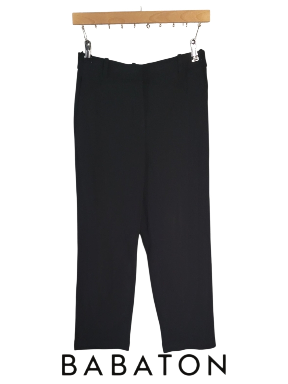 Aritzia Babaton Sartorial Pant